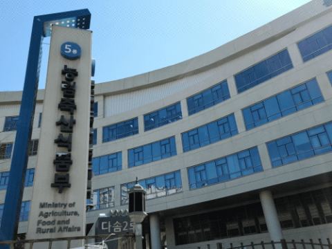 은퇴 검역탐지견 3마리, 새 가족 찾는다…검역본부 '탐지견에서 반려견으로' 교감 여행