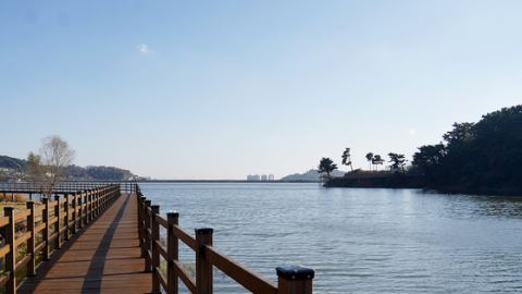 서산 풍전저수지 수질 이상 없음 확인…물고기 폐사는 산란기·수온 변화 등 자연적 원인