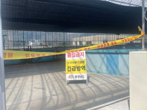 충남 수산자원연구소, 흰다리새우 양식장 방역 예찰 대폭 강화…급성간췌장괴사병 선제 차단