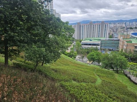 천안시, 노태·삼은·능수버들공원 새단장 완료…31억 투입 봄꽃 명소·물놀이터·터널분수 조성