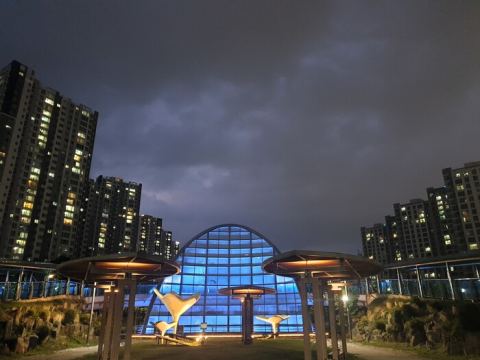 천안 아름드리공원·천변공원, 야간경관조명 완료…550년 은행나무에 스텝조명