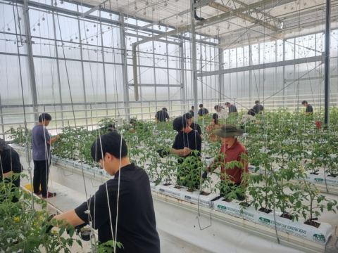 충남농업기술원, 스마트팜 청년창업 29명 선도농가 현장실습 11월까지 진행