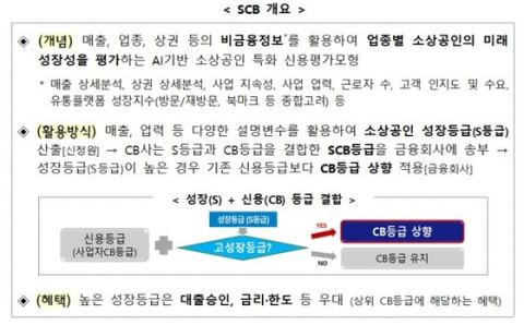소상공인 특화 신용평가(SCB) 16개 은행 2조 2000억으로 확대…지역신보 내년 적용