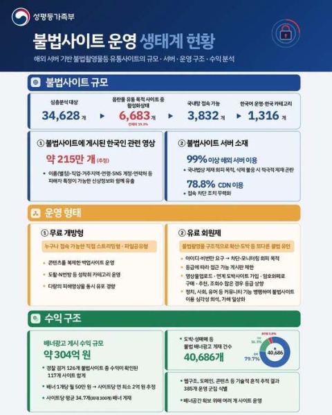 정부, 불법촬영물 유통사이트 '정범'으로 처벌…합법적 해킹 도입 검토