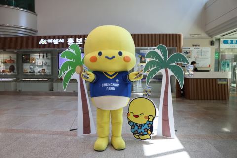 충남아산FC 마스코트 '티티', 'TURTLE SPLASH DAY' 거리 홍보