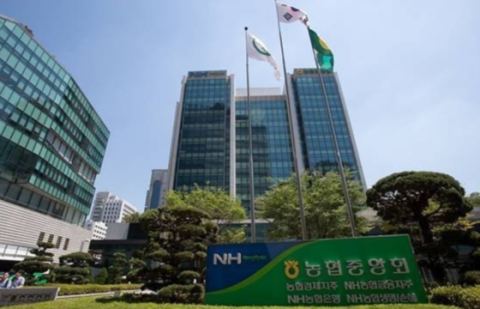 농협 회계감사 깐깐해진다… 자산 3000억 이상 조합 '매년 외부감사' 의무화