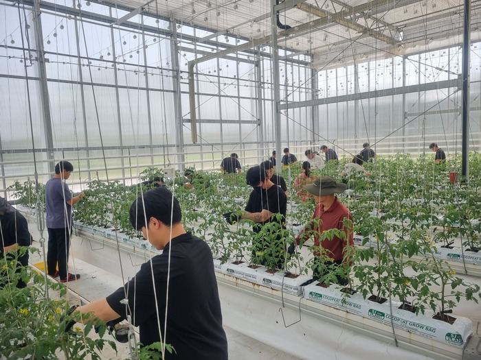 충남도, 스마트팜 청년창업 교육생 현장실습 시작